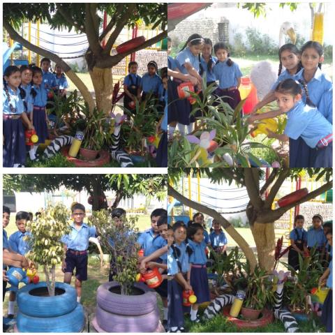 Earth Day celebrated